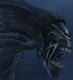 Xenomorph Queen